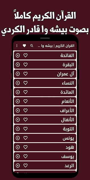قران كامل بيشه الكردي بدون نت Screenshot 0