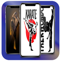 Martial Arts Wallpaper HD