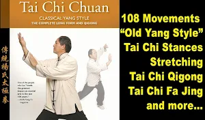 Tai Chi 108 Yang Form Screenshot 1