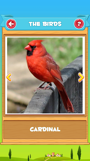 Learn the Birds Screenshot 1