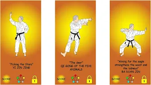 Qi Gong Mirror Screenshot 2