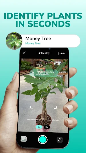 Plant Check: Plant Identifier Screenshot 0
