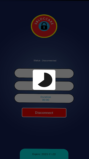 Sbloccare VPN - No Log Policy Screenshot 1