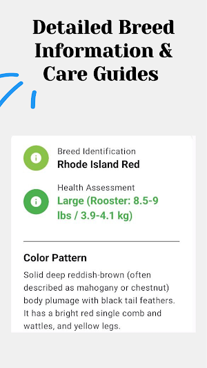 Chicken id  Chicken identifier Screenshot 2