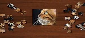 Fantastic Jigsaw Puzzle : Cats Screenshot 2
