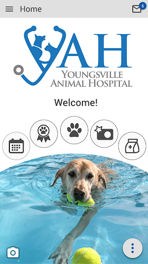 Youngsville AH Screenshot 0