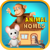 Animal Homes