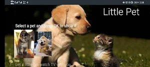 Little Pet Screenshot 1