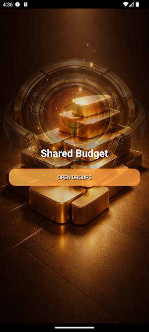 Triumph Shared Budget Screenshot 1