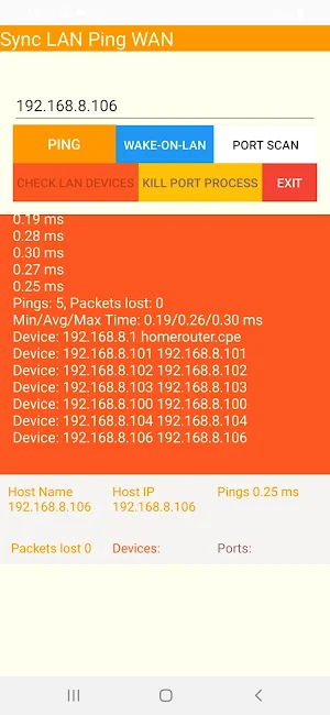 Sync LAN Ping WAN Screenshot 2