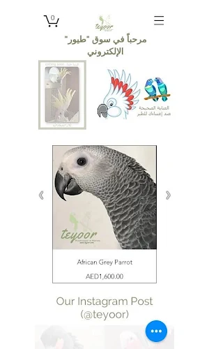 Teyoor Screenshot 2