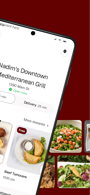 Nadim’s Downtown Mediterranean Screenshot 1