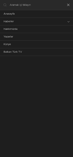 Balkan Günlüğü Screenshot 1