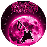The historyof prophetMuhd wars