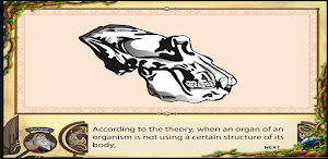 Theories of Evolution Screenshot 2