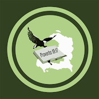 David’s Wings
