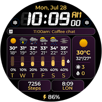 Chester Weather info v2