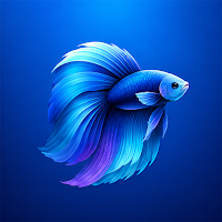 Aquaria: Aquarium Fish