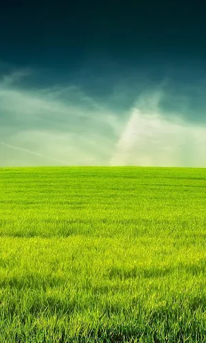 3D GRASS Live Wallpaper HD Screenshot 0