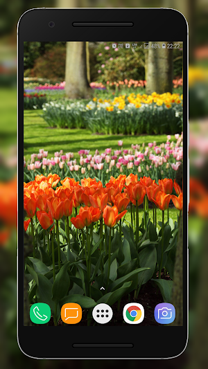 Garden Wallpapers 4k Screenshot 1