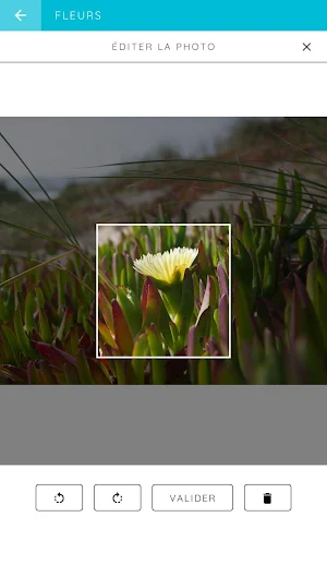 Leximage Screenshot 0