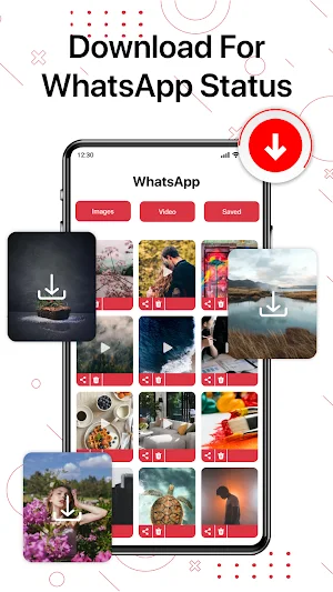 All Video Downloader 2024 Screenshot 3