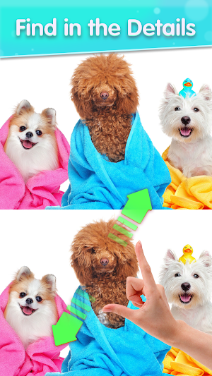 Find Differences Puzzle Game Screenshot 1