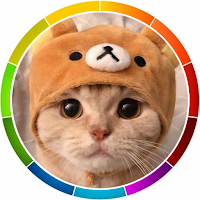 Cat Language Trans.Talk to Cat