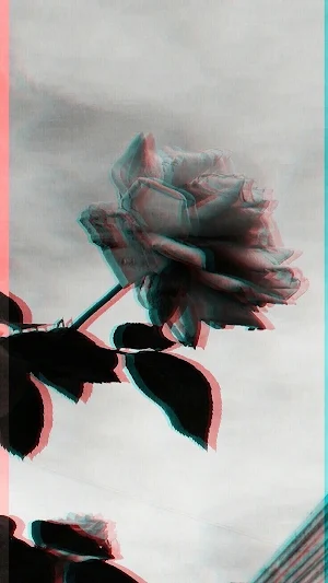 aesthetic wallpapers Screenshot 3