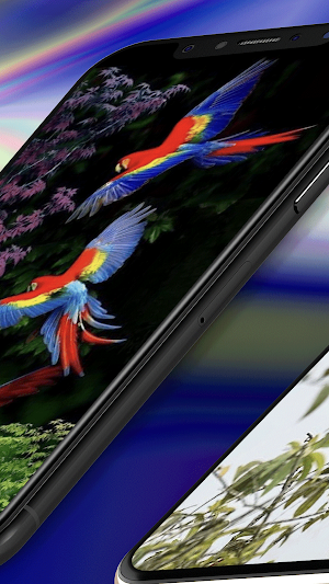 Parrot Wallpaper HD Screenshot 1