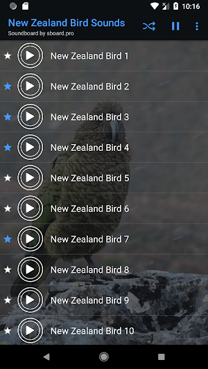 New Zealand Bird Sounds ~ Sboard.pro Screenshot 3