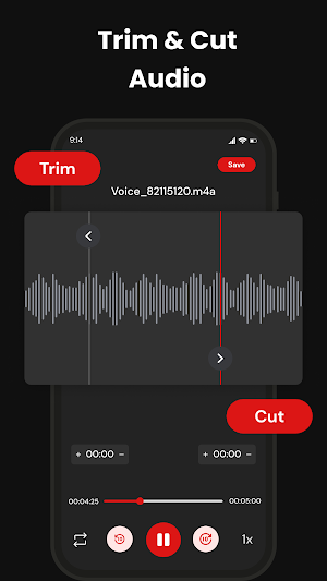 Voice Recorder Screenshot 2