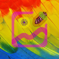 YuEditor