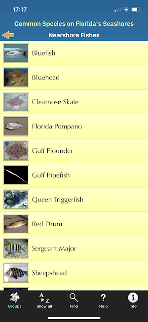 Florida Seashore Wildlife Screenshot 2