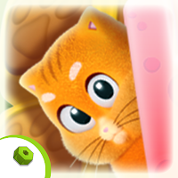 Kittygram
