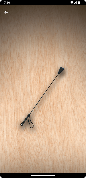 Whip Simulator - Pocket Whip Screenshot 3