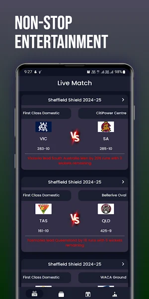 Live Cricket Score Screenshot 1