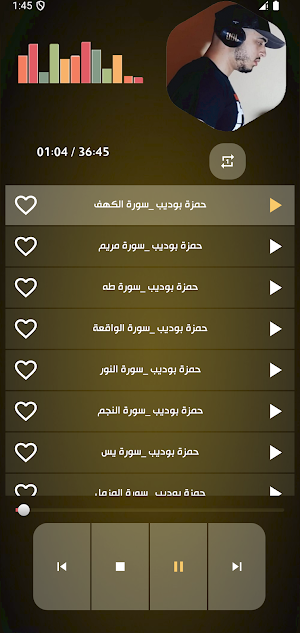 قرأن حمزة بوديب 2025 بدون نت Screenshot 1