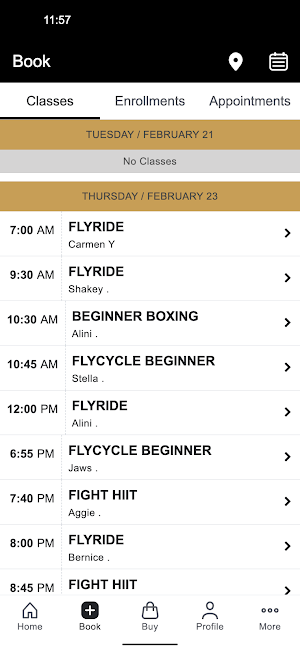 FLYPROJECT Screenshot 1