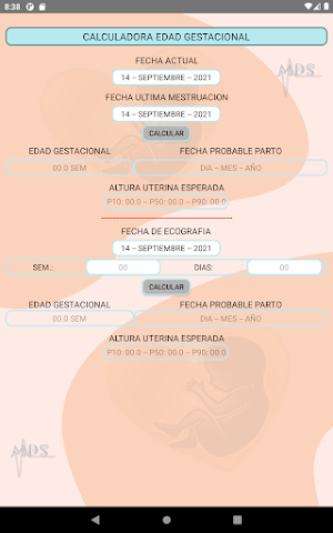Calculadora Edad Gestacional Screenshot 3