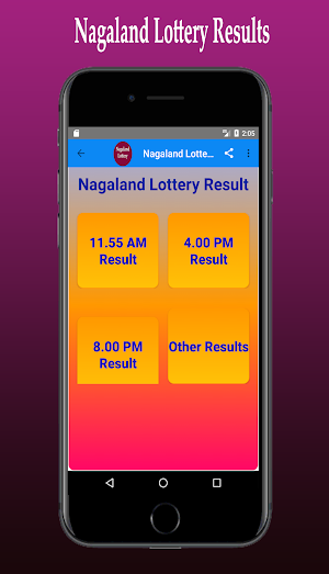 Nagaland Lottery Result Screenshot 1