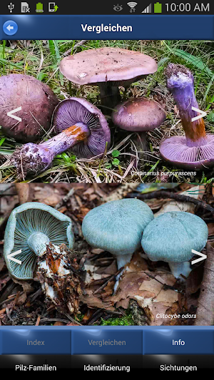 Pilz Id, Die Pilze Sammeln App Screenshot 3