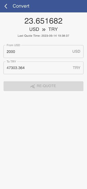 USD to Lira Screenshot 2