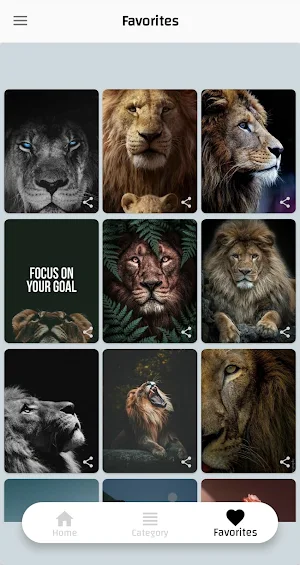 Lions Pictures HD Offine Screenshot 0