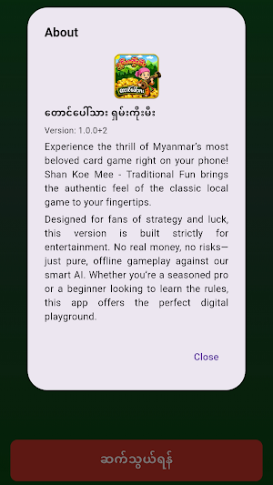 တောင်ပေါ်သား ရှမ်းကိုးမီး Screenshot 2