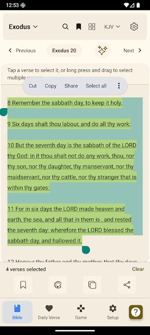 Scripture Quest Screenshot 0