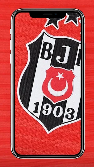Besiktas Wallpapers screenshot 5