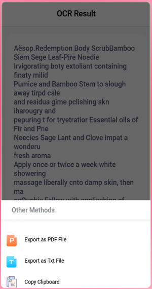 Convert Text Screenshot 2