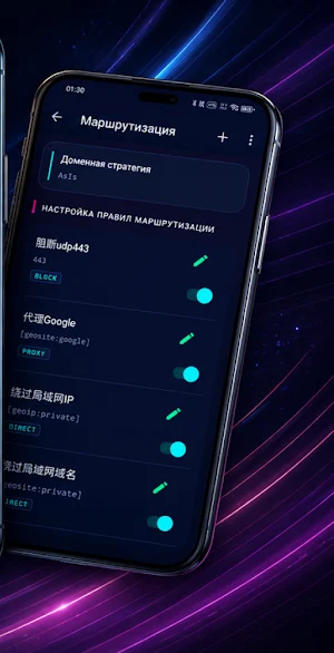 VoxiProxy VPN Screenshot 3