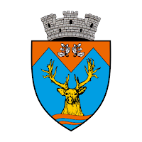 Novaci Transport